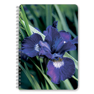 Iris-Flower-Notebook